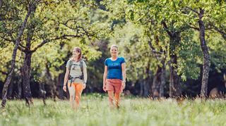 Neue Broschüren, Messevorbereitungen und ein neuer Tourismusverband – in der Touristikgemeinschaft Odenwald werden aktuell viele Vorbereitungen für das neue Jahr getroffen, um Gäste für Urlaub und Ausflüge in den Odenwald zu begeistern.