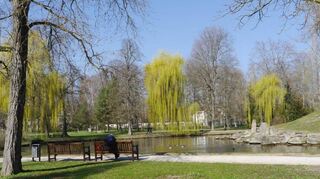 Der See am Schneckenbuckel: Hier war noch vor wenigen Jahrzehnten der Spielplatz.