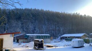 Noch ist nichts zu sehen von dem geplanten Wiederaufbau der Scheune mit Stallungen an der Linkenmühle in Rippberg. Mitte, Ende Februar wolle man laut Ralf Block mit den Arbeiten beginnen. Am Sonntag jährt sich der Großbrand, bei dem ein Sachschaden in Millionenhöhe entstand, zum ersten Mal.