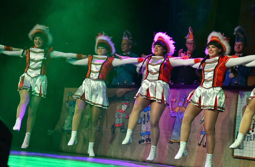 Narrenring MainNeckar Fastnachtskampagne