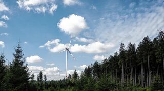 Der Ausbau erneuerbarer Energien geht der Wirtschaft nicht schnell genug.