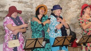 Erstmals mit von der närrischen Partie in der Erlenbachhalle ist das Gesangsquartett „Jacobs Stubenmusik“.