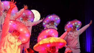 Mit dem Tanz „Magic mushrooms“ verzauberten die Buchener Frauen die Besucher in der Stadthalle.