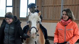 Auf dem Reiterhof Haun im Lauda-Königshöfer Weiler Hofstetten arbeiten Kinder und Jugendliche, die sich mit diversen Problemen konfrontiert sehen, mit Pferden.