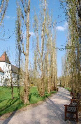 Der Schlosspark Bad Mergentheim.