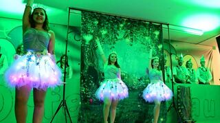 Schön anzusehen war der Auftritt der „Crazy Moves“, die als Waldfeen bezauberten.