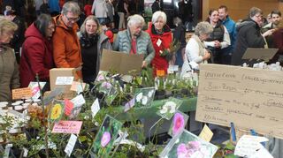 Groß war der Andrang beim fünften Saatgutfestival in Wertheim, das am Wochenende in der Main-Tauber-Halle stattfand.