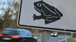 Ein Hinweisschild zur Krötenwanderung steht an einer Bundesstraße.