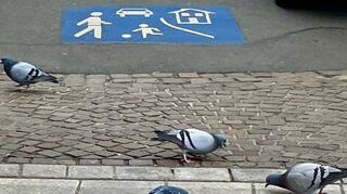 Gemeinsames „Frühstück“ am Dienstagmorgen am Marktplatz.
