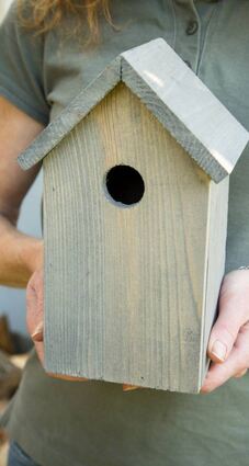 Alle Vögel haben andere Bedürfnisse an Nistkästen.