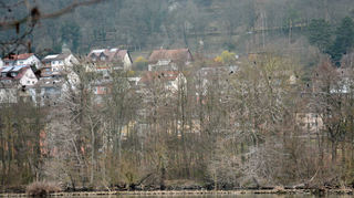 Main in Wertheim.