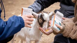 Der Wildpark Bad Mergentheim ist ein Erlebnis für Klein und Groß. Die Nähe zu den Tieren begeistert seit nunmehr 50 Jahren. Das Jubiläum wird mit verschiedenen Aktionen gefeiert.