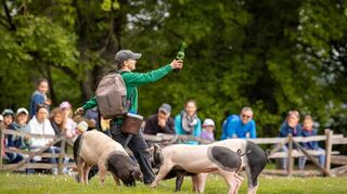 Lustige (Haus-)Tiervorführungen gibt es im Wildpark auch...