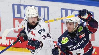 Mannheims Tom Kühnhackl (l.), hier gegen Manuel Wiederer, hatte großen Anteil am Kantersieg.