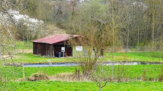 Die Kleinkläranlage Uiffingen wurde 1977 in Betrieb genommen und soll jetzt aufgegeben und an die Sammelkläranlage in Unterschüpf angeschlossen werden. Nach den Förderrichtlinien Wasserwirtschaft fördert das Land diese Maßnahme mit einem bewilligten Zuschuss in Höhe von rund 1,385 Millionen Euro. Am Montag vergab der Gemeinderat die Bauleistungen für den Bau eines Abwassersammlers, der im Bereich der alten Kleinkläranlage entstehen soll.