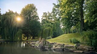 Der Schlosspark des Residenzschlosses Mergentheim ist ein idyllischer Sehnsuchtsort, der sich durch eine lange und abwechslungsreiche Geschichte auszeichnet. Bei der neuen Sonderführung „Barockgarten – Landschaftspark – Oase der Zukunft“ können die Besucherinnen und Besucher das Kleinod neu kennenlernen – und erfahren mehr über seine Vergangenheit und Zukunft. Der erste Rundgang ist am Ostersonntag, 31. März, um 14.30 Uhr.