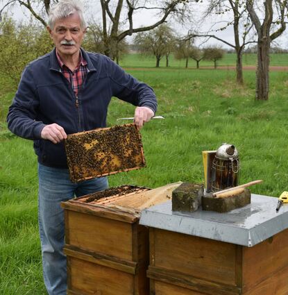 Alles dreht sich um das Wohl der Bienen beim Bezirksimkerverein Wertheim, an dessen Spitze Wolfgang Erbacher als Vorsitzender steht.