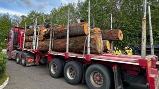 Ein deftiges Bußgeld wartet auf den Lenker dieses französischen Langholz-Transporters, der sich am Mittwochnachmittag auf der A 81 an der Rastanlage Ob der Tauber Ost einer Kontrolle unterziehen musste. Denn der Zustand der Sicherungsgurte birgt ein gewaltiges Risiko für den Lkw und für andere Verkehrsteilnehmer.