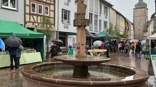 Auch wenn das Wetter eher an einen Weihnachtsmarkt erinnerte, erkundeten Besucher die regionalen Angebote auf dem Naturparkmarkt in der Buchener Innenstadt.