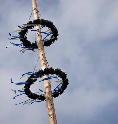 Wie der neue Maibaum aussieht, bleibt vorerst ein Geheimnis: Die Reicholzheimer wollen vor dem 27. April kein Bild vom neuen Maibaum veröffentlichen.