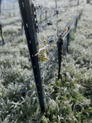 Erst kam der Regen, dann auch noch der starke Frost.