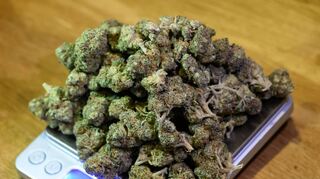 Im Zuge der Teillegalisierung von Cannabis muss die Justiz alte Fälle neu bewerten. Seit 1. April darf jede erwachsene Person 25 Gramm mit sich führen.