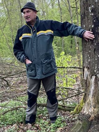 Revierleiter Hermann Fischer weist auf eine kranke Buche hin.