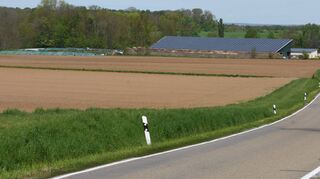 Am südlichen Orstrand von Waldmannshofen ist der Bau eines Funkmastes geplant. Sein Abstand zur nächsten Wohnbebauung beträgt rund 260 Meter. Sowohl Ortschaftsrat als auch Creglinger Gemeinderat haben das Baugesuch abgelehnt. Die Stadt will mit dem Grundstückseigentümer über einen alternativen Standort sprechen.