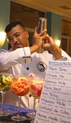 Chames Roth wird für leckere Cocktails sorgen.