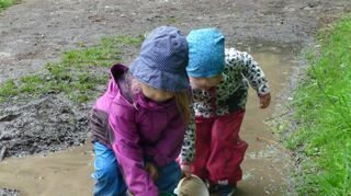 Das Verständnis für Naturzusammenhänge soll im Naturkindergarten Adelsheim besonders gefördert werden.