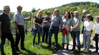 Bei einer Führung informierten Weingutinhaber Karlheinz Sack (links) und NABU-Ortsvorsitzender Michael Salomon (Zweiter von links) über Natur, Landschaft und Weinbau am Altenberg.