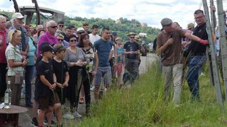 Im Weinberg: Experten erklärten den Neugierigen die Besonderheiten des Weinbaus.