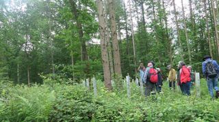 Bei einer Exkursion des Naturschutzbunds Wertheim in den Kommunalwald von Zellingen erfuhren die Teilnehmenden vieles über die dort angewendete Wirtschaftsform des Dauerwalds.