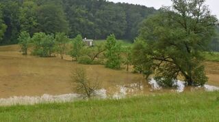 Seenlandschaften haben sich hinter den Hochwasserrückhaltebecken zwischen Rot und der Kurstadt gebildet. Das Becken vor Dörtel (Bild) drohte gar überspült zu werden.