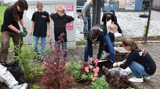 Insgesamt drei Beete wurden bei der Aktion „Altheim blüht“ am Samstag bepflanzt. Zum Schluss wurdedie Erde mit Rindenmulch abgedeckt.