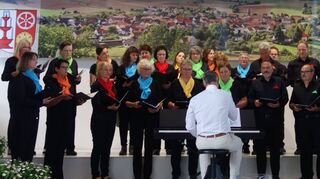 Der Gesangverein Böttigheim feierte seinen 100. Vereinsgeburtstag mit einem Liedernachmittag und einem kleinen Festakt.