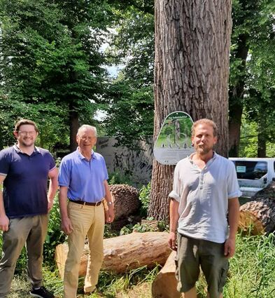 Zum Anbringen der Tafel an der abgestorbenen Eiche im Schlösschenpark trafen sich (von links) David Pustowit, Stefan Gläser und Christoph Häfner.