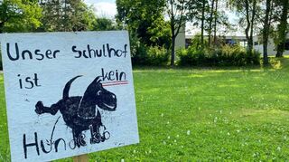 Von Schülern gestaltetes Schild: Das Wiesengelände rund um das Weikersheimer Schulzentrum (im Hintergrund der Altbau des Gymnasiums mit Hallenbad) gehört zum Campus und ist keine Klo-Meile für Vierbeiner.
