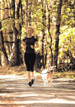 Bewegung ist wichtig. Ein Jagdhund wird durch reines Laufen aber nicht ausgelastet sein. Daher sollte man ihn beispielsweise mit Apportier-Spielen beschäftigen.