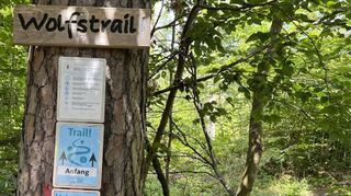 Die Einfahrt zum Wolfstrail I ist zwischen Bäumen und Sträuchern an der Wolfsgrubenhütte versteckt.