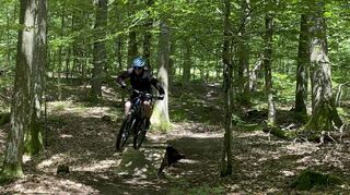 Ein leichter Sprung nach einem Hindernis gepaart mit einem angedeuteten „Tabletop“. Ein Trick, bei dem das Mountainbike während des Sprungs so flach wie möglich gelegt wird, während der Körper zentral bleibt.