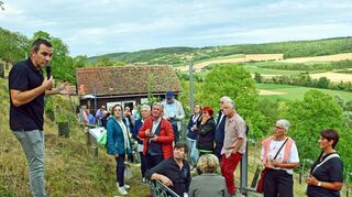 So unterschiedlich schmecken Trüffel: Daniel Rudolf begleitete 2023 die interessante Degustation hoch überm Taubertal. Am 26. Juli ist die Fortsetzung von „Trüffel & Theater“ in Röttingen geplant.