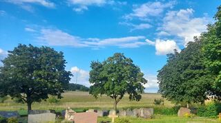Beim Bürgerforum brachten viele Rauenberger zahlreiche Ideen und Wünsche für die Zukunft ihrer Ortschaft vor. Viele Vorschläge betrafen den Friedhof.