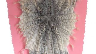 Unter dem Motto „Refining Nature, Redefining Space“ präsentiert Marietta Schwarz ihre Werke im Alten Schlachthaus.