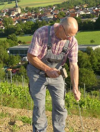 Trotz maschineller Hilfen war vom Neu-Wengerter Peter Kohlschreiber auch Muskelkraft gefordert.