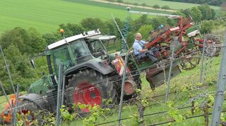 Pflanzmaschine: Auch der Pflanzvorgang funktioniert heutzutage fast vollautomatisch.