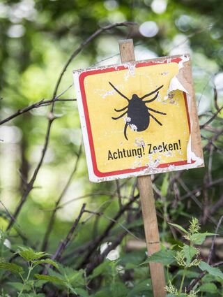 Ein Schild in einem Wald warnt vor Zecken. Die Fälle von an Borreliose Erkrankten bleiben im Main-Tauber- und Neckar-Odenwald-Kreis relativ konstant. Warme Winter sorgen dafür, dass die Spinnentiere zu dieser Zeit inzwischen auch aktiv sind.
