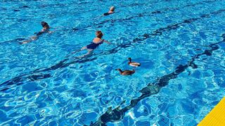 „Ob die Menschen auch so gut schwimmen können wie wir?“: Das Stockenten-Paar fühlt sich im Laudaer Terrassenbad sichtlich wohl.