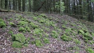 Ein gut erkennbarer Teil des zweieinhalb Kilometer langen unteren Walls, der sich unterhalb des Gipfelplateaus um den gesamten Berg zieht.