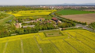 Rund 300 Hektar Fläche werden vom Südzucker-Versuchsgut in Kirschgartshausen bewirtschaftet.